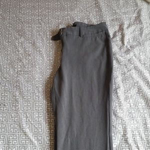 TALL Women's Slacks